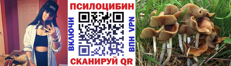 ОМГ ОМГ как войти где продают Янаул Псилоцибиновые грибы мицелий