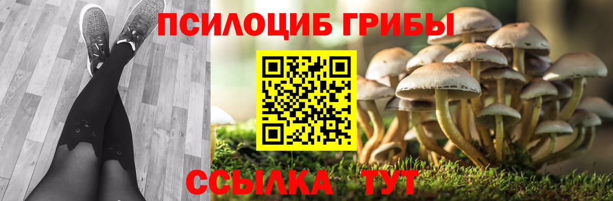 Галлюциногенные грибы Magic Shrooms Янаул