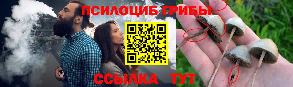 Псилоцибиновые грибы GOLDEN TEACHER  Галлюциногенные грибы ЛСД  Янаул  Вход с VPN 