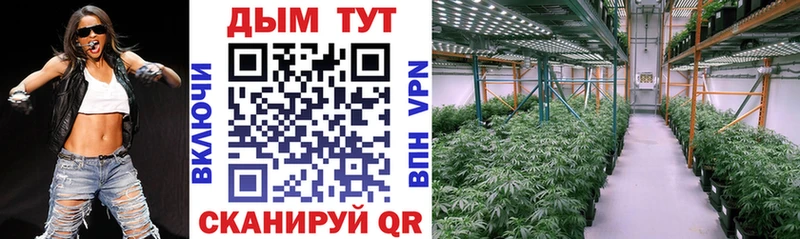 Бошки марихуана SATIVA & INDICA  darknet формула  Янаул  где купить наркоту 